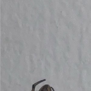 Meet your Posher, Jackson